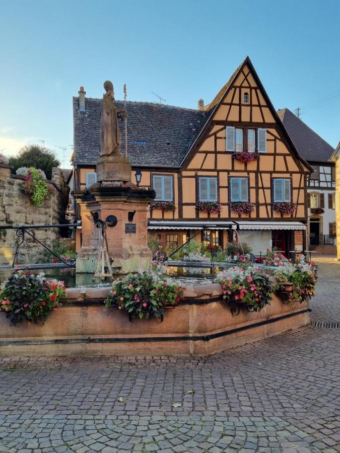 L'Ourson Appartement Colmar Buitenkant foto